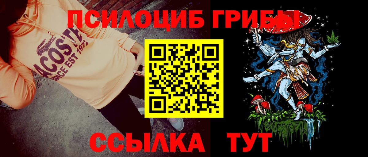 Псилоцибиновые грибы Psilocybine cubensis  Вход с VPN  как найти   Великие Луки 