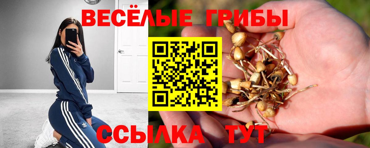 Галлюциногенные грибы GOLDEN TEACHER Великие Луки